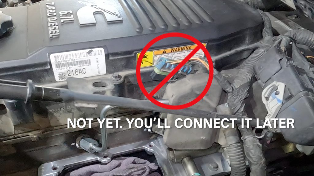Don't connect forward blue plug yet